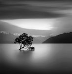 449 - ALONE - PUSTOVOY YURY - russian federation <div